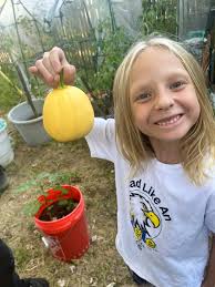 First pumpkin harvest from my small backyard garden.