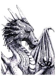 Drachen 59834 Drachen Malbuch Fur Erwachsene