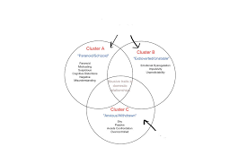 Image result for Cluster B Personality Disorder