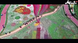 We did not find results for: Visit Jiangsu Holland Flower Sea In Dafeng Facebook