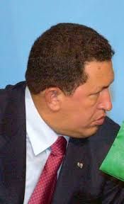 DER BÜRGER IM STAAT