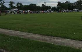 Image result for Malori Green 1952 Truck