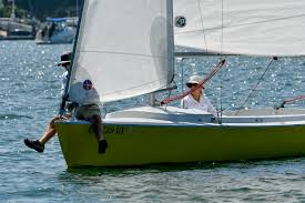 Image result for Yellow 2020 Fleet