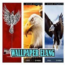 Check spelling or type a new query. Wallpaper Burung Elang Garuda Fur Android Apk Herunterladen