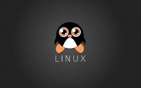 Tux Wallpapers Https Wallpapersko Com Tux Wallpapers Html Wallpapers Hd Wallpapers Download Linux Minimalist Wallpaper Snowman Wallpaper