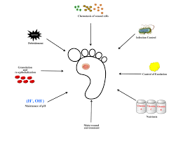 The annual incidence of diabetic foot ulcer worldwide is between 9.1 to 26.1 million. Understanding The Implications Of Pharmaceutical Excipients And Additives In The Treatment Of Diabetic Foot Ulcers Journal Of Excipients And Food Chemicals