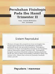 Perubahan Fisiologis Pada Ibu Hamil Trimester Ii