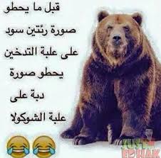 Pin By رشاء سعد On منوعات Brown Bear Funny Pictures Funny