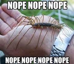 Lucie county, florida, united states. Herring Pest Management P O 15190 Fort Pierce Fl 2021