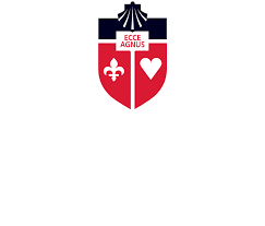 John's university is a private, catholic university in new york city. Why St John S University