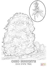 Use crayola crayons colored pencils or markers to color the flag of mexico. New Mexico Tree Coloring Page Coloring Home