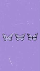 Butterfly iphone wallpaper butterfly wallpaper iphone. Butterfly Wallpaper Butterfly Wallpaper Iphone Butterfly Wallpaper Purple Butterfly Wallpaper