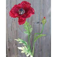 We sell many different varieties of fake trees including bay ball, ficus, bamboo, palm, maple we are based in morecambe, lancashire and from here deliver to all of the uk (england, scotland, wales and northern ireland) as well as the irish. Artificial Poppy Flower Aleha Red 75cm