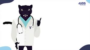 Its county seat is mount holly. Alexa Moreno Tokio 2021 Olympische Spelen 2021 Programma Alexa Moreno Tokio 2020 Jpbefjj4h4fedm