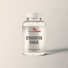 Image result for Cyanotis vaga