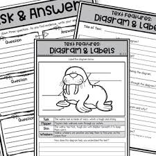 Protects the cell from its. Walrus Activities Guided Reading Non Fiction Features Diagram And Labels