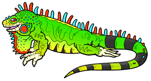 Vector cartoon guanaco and iguana, anteater. How To Draw A Cartoon Iguana How To Draw Cartoons