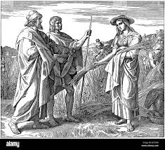 Booz ruth hi-res stock photography and images