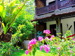 The rainforest of gunung leuser national park and the area where you will trek is home to the last remaining population of sumatran orangutan. Jungle View Room Ecotravel Cottages Bukit Lawang Sumatra