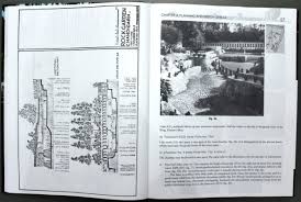 This will add dimension to your garden, too. A New Book Rock Garden In Chandigarh Authored By Dr Ss Bhatti Launched