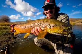 Fremont River Fishing Report Bicknell Utah