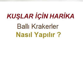 Kuslar Icin Balli Kraker Yem Tarifi Diy Yesil Parmak 2020 Kus Kus Yemi Yaratici
