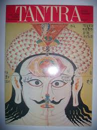 Tantra. Le culte indien de l'extase: Amazon.co.uk: Rawson, Philip:  9782020029285: Books