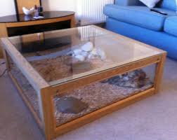 Terrarium Der Mobelreptilien The Post Furniture Reptiles Terrarium Terrarium Der Mobelreptilien 09 10 2019 App Reptile Terrarium Snake Enclosure Bearded Dragon