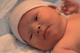 Newest SketchUp user :) (We had a baby!)