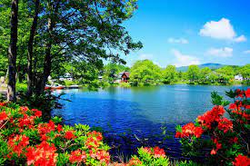 Beautiful Nature Scenery Hd Wallpapers Desktop Hd Wallpapers Beautiful Images Nature Beautiful Nature Wallpaper Nature Pictures