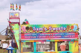safety of carnival rides in michigan