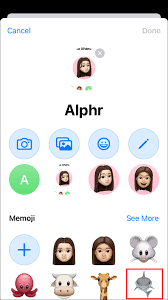 How To Set A Memoji As An Apple Id Photo