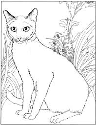 Fignolez en ajoutant des détails, comme une houppette ou un collier, avant de colorier le dessin. Imprimer Coloriages Chat Gratuit