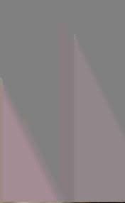 Image result for Syngonanthus longibracteatus