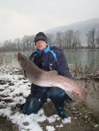 Drina mladica 20+kg c&r 26.01.2020. 58 Places To Visit For Fishing Ideas Places To Visit Visiting Places