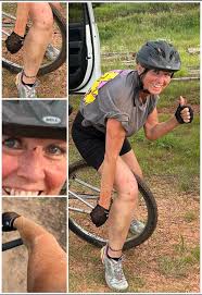 Introduction of flash the tree walker hound