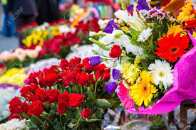 We did not find results for: Various Colorful Flowers Are Sale In A Flower Shop On A Market Stock Photo Picture And Royalty Free Image Image 95337871