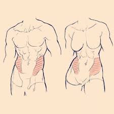 23 7 Tys Otmetok Nravitsya 52 Kommentariev Learn To Create Nr1 Art Artpieceofcake V Instagram Follo In 2020 Outdoor Cat Enclosure Cat Enclosure Aircraft Art