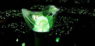 Got7 Lightstick Got7 Kpop
