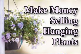 Check spelling or type a new query. How To Make Money Selling Hanging Plants Thistle Downs Farm