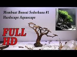 Membuat Bonsai Aquascape Aquarium Sederhana 1 Youtube Aquascaping Bonsai Aquarium