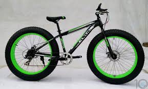 Image result for top 10 cycles in india