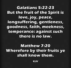 Galatians 5 22 23 Matthew 7 20 King James Kjv