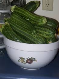 Hickery Holler Farm: Cocozelle Zucchini