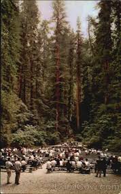 Maybe you would like to learn more about one of these? Redwood Amphitheater Armstrong Woods Guerneville California Amphitheater Redwood