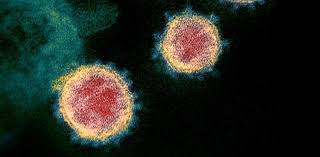 Beigel jh , tomashek km , dodd le et al. Coronavirus Hilft Remdesivir Gegen Covid 19 Klinische Studien Des Antiviralen Wirkstoffs Laufen In China Und Den Usa Scinexx De
