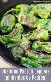 Blistered Padron Peppers Pimientos De Padron Blistered Padron Peppers Are A Classic Spanish Tapas That Were Alway Stuffed Peppers Recipes Vegetable Recipes