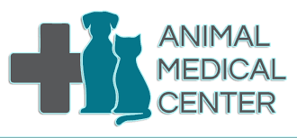 Where compassion meets quality of care. Veterinarian In Virginia Beach Va Animal Medical Center