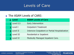 Levels Of Care Continuum Of Care Asam Patient Placement
