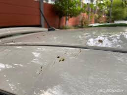 Asal usul topeng perubatan pertama elak wabak berjangkit. Kereta Lama Tak Jalan Masa Pkp Ikut Tip Tip Ini Untuk Penjagaan Terbaik Wapcar